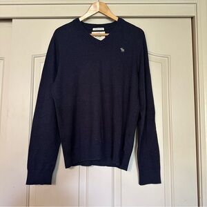 Abercrombie Navy Cashmere Blend V-Neck Sweater